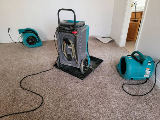 Best Local water damage restoration  in Chleston, AR