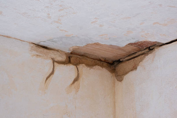 Reliable Charleston, AR Water damage restoration Solutions