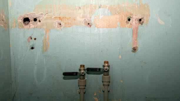 Best Sewage cleanup and water damage restoration  in Chleston, AR