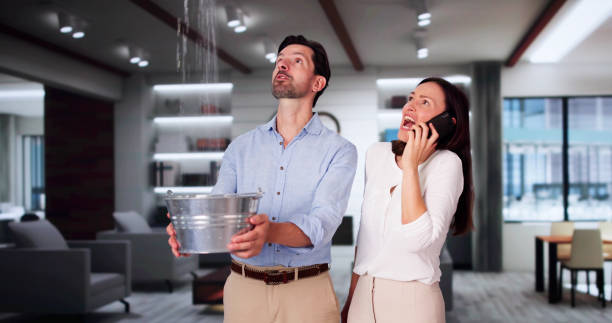 Best Basement water damage restoration  in Chleston, AR