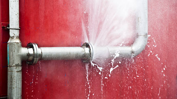Best Flood restoration services  in Chleston, AR